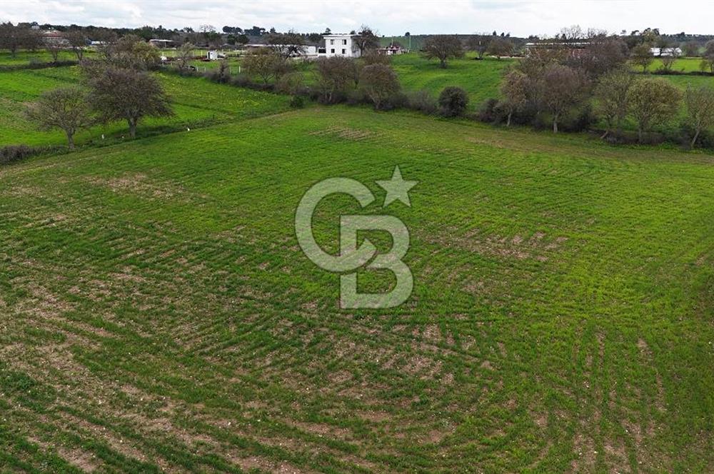 Çanakkale Ezine Akköy 7.500 m2 Köye Yakın Satılık Tarla