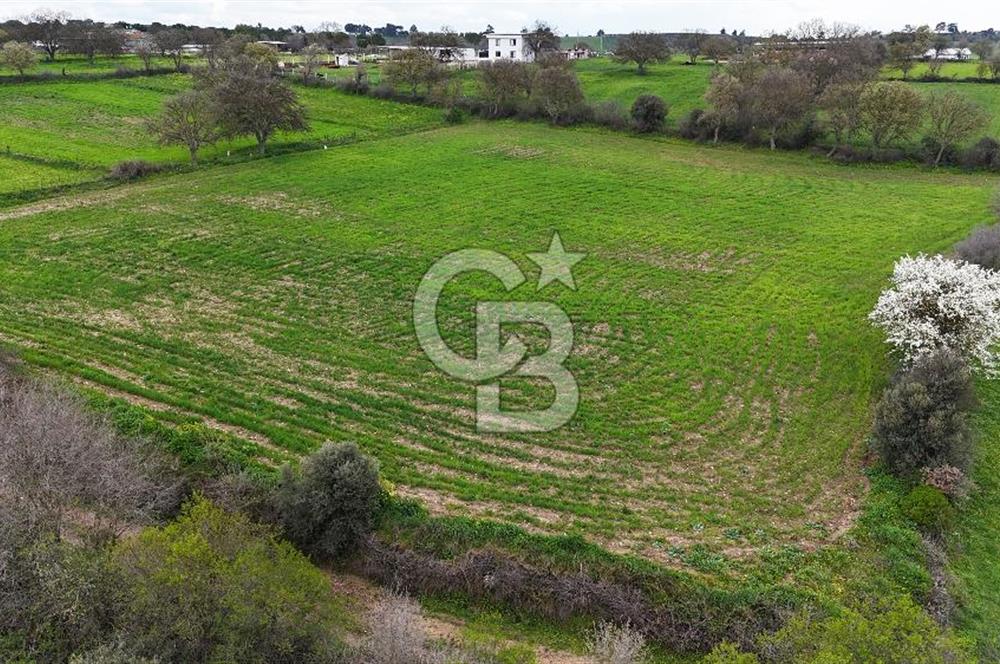 Çanakkale Ezine Akköy 7.500 m2 Köye Yakın Satılık Tarla