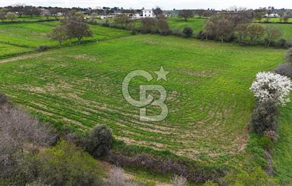 Çanakkale Ezine Akköy 7.500 m2 Köye Yakın Satılık Tarla