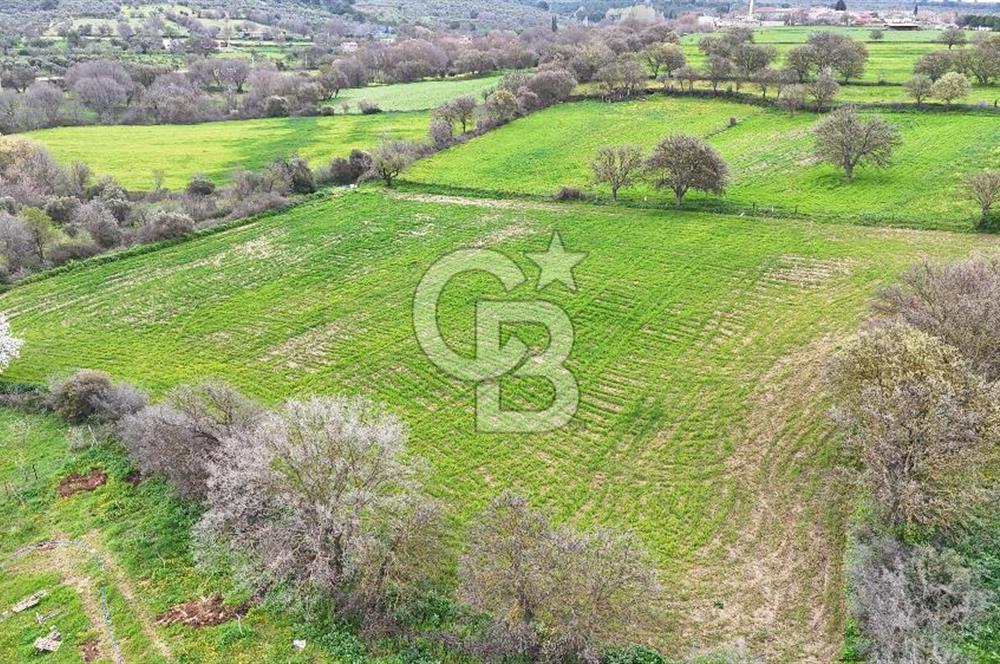 Çanakkale Ezine Akköy 7.500 m2 Köye Yakın Satılık Tarla