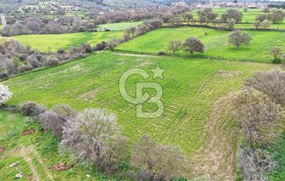 Çanakkale Ezine Akköy 7.500 m2 Köye Yakın Satılık Tarla