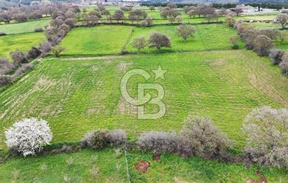 Çanakkale Ezine Akköy 7.500 m2 Köye Yakın Satılık Tarla