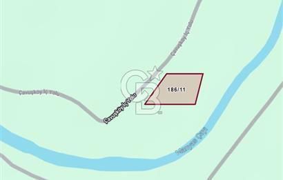 Manyas Çayına Komşu Ulaşımı Kolay Sulak Tarla