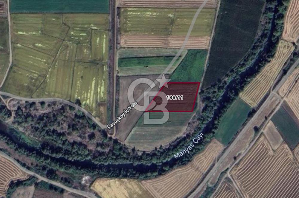 Manyas Çayına Komşu Ulaşımı Kolay Sulak Tarla