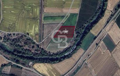 Manyas Çayına Komşu Ulaşımı Kolay Sulak Tarla