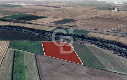 Manyas Çayına Komşu Ulaşımı Kolay Sulak Tarla