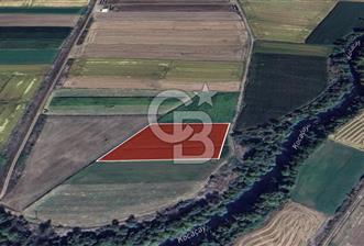 Manyas Çayına Komşu Ulaşımı Kolay Sulak Tarla - 10 - 343032