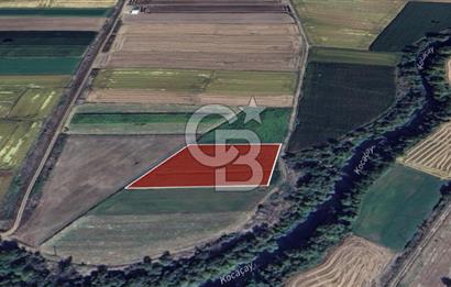 Manyas Çayına Komşu Ulaşımı Kolay Sulak Tarla