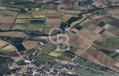 Manyas Çayına Komşu Ulaşımı Kolay Sulak Tarla