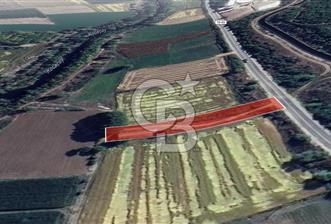 CB Leader'dan Manyas Kızıkta 3124 m² K. Tavukhane ve Tarla - 9 - 343033