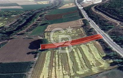 CB Leader'dan Manyas Kızıkta 3124 m² K. Tavukhane ve Tarla