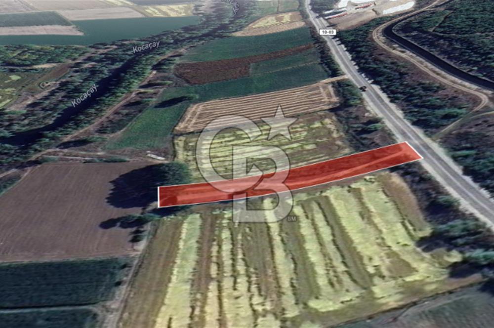 CB Leader'dan Manyas Kızıkta 3124 m² K. Tavukhane ve Tarla