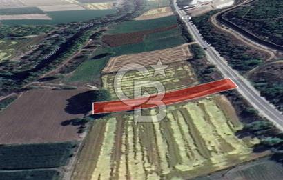 CB Leader'dan Manyas Kızıkta 3124 m² K. Tavukhane ve Tarla