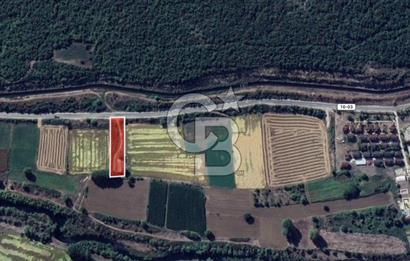 CB Leader'dan Manyas Kızıkta 3124 m² K. Tavukhane ve Tarla