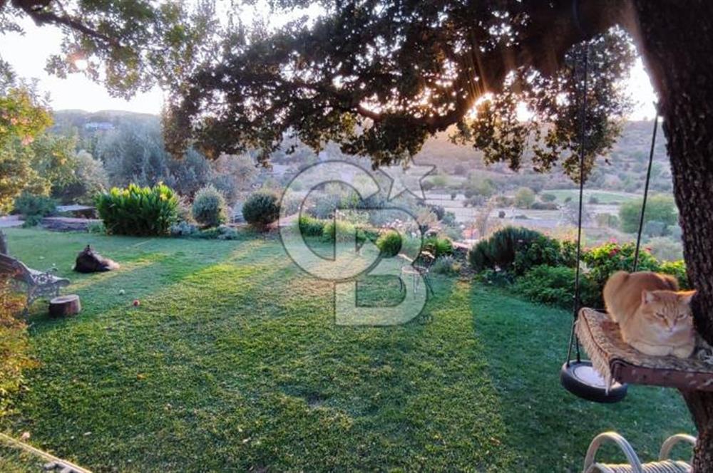 Doğanın Kalbinde Saklı Bir Cennet: Modern ve Masalsı Kiralık Ev