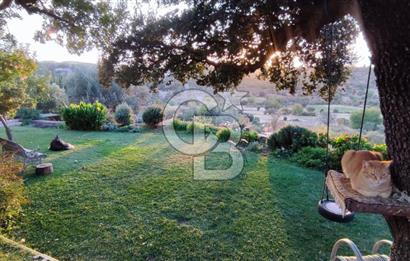 Doğanın Kalbinde Saklı Bir Cennet: Modern ve Masalsı Kiralık Ev