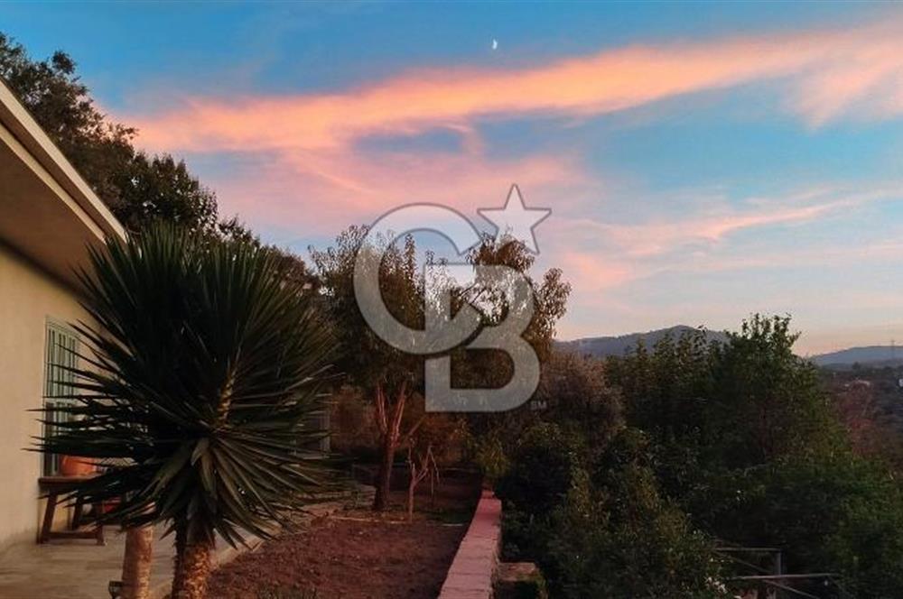 Doğanın Kalbinde Saklı Bir Cennet: Modern ve Masalsı Kiralık Ev