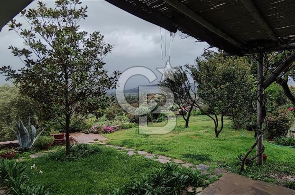 Doğanın Kalbinde Saklı Bir Cennet: Modern ve Masalsı Kiralık Ev