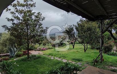 Doğanın Kalbinde Saklı Bir Cennet: Modern ve Masalsı Kiralık Ev