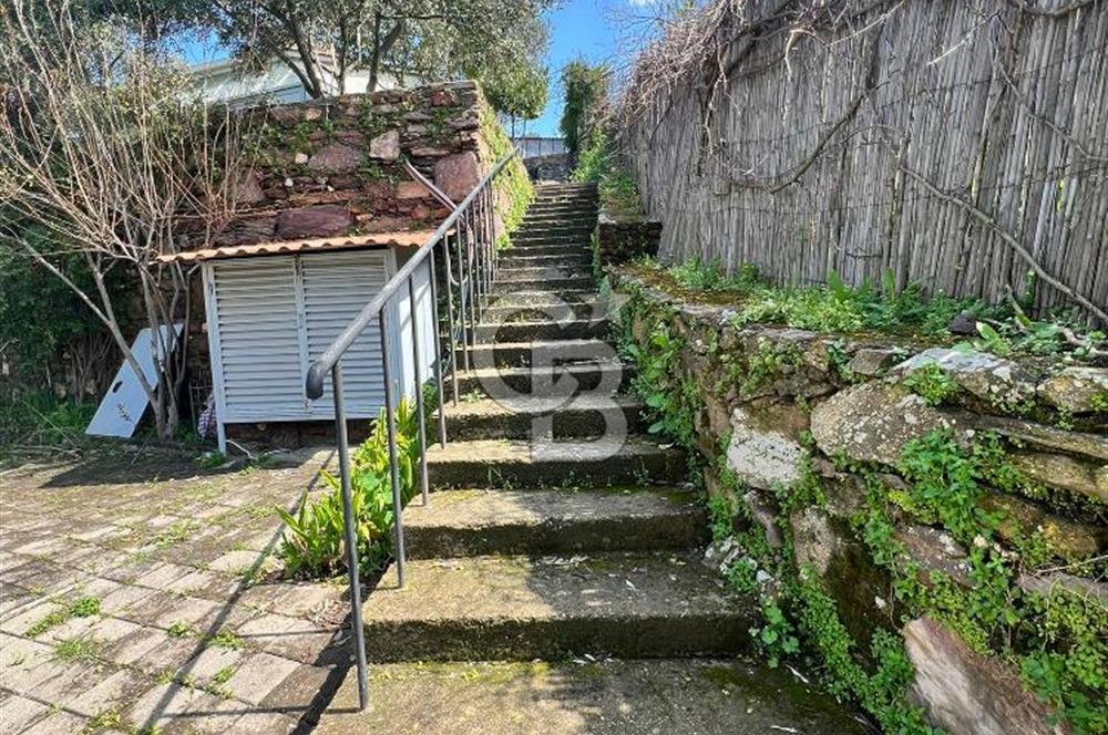 Doğanın Kalbinde Saklı Bir Cennet: Modern ve Masalsı Kiralık Ev