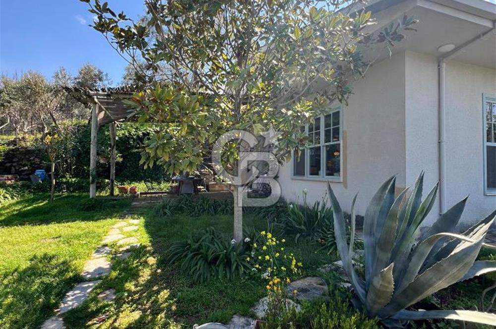 Doğanın Kalbinde Saklı Bir Cennet: Modern ve Masalsı Kiralık Ev