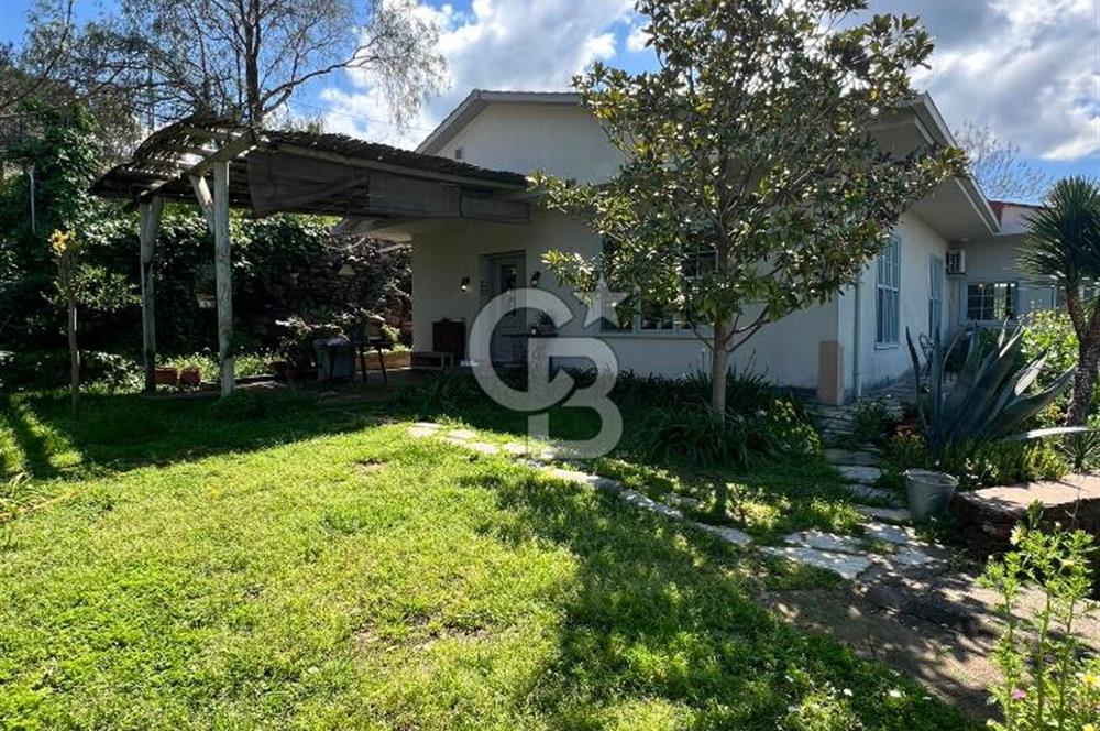 Doğanın Kalbinde Saklı Bir Cennet: Modern ve Masalsı Kiralık Ev