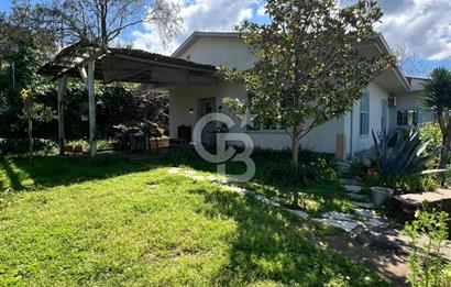 Doğanın Kalbinde Saklı Bir Cennet: Modern ve Masalsı Kiralık Ev