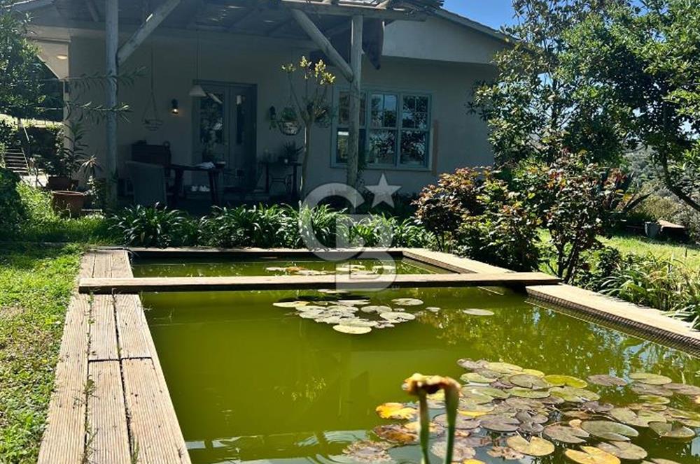 Doğanın Kalbinde Saklı Bir Cennet: Modern ve Masalsı Kiralık Ev