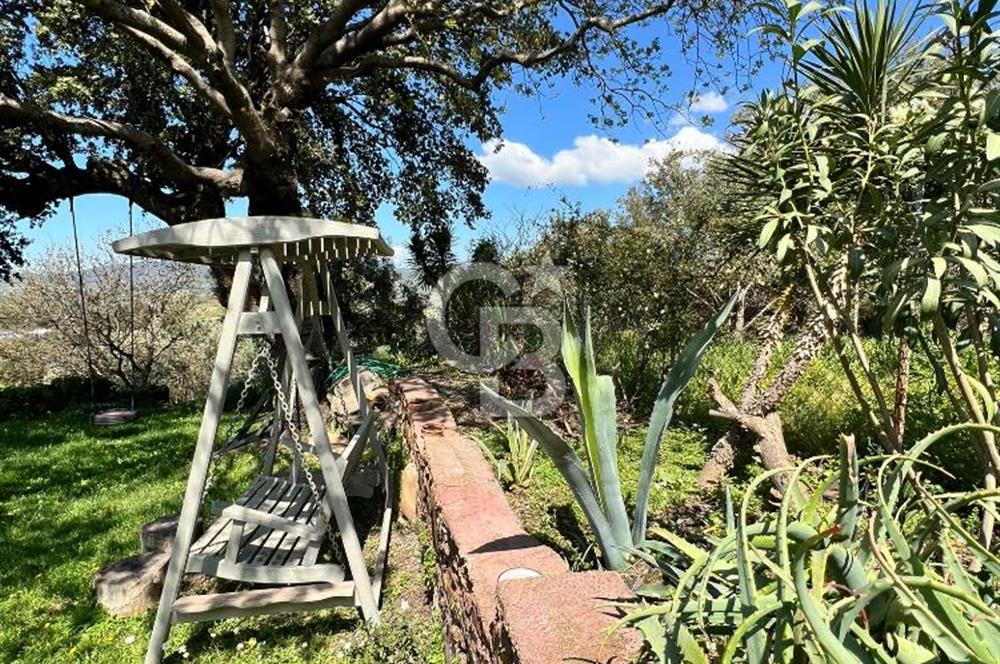 Doğanın Kalbinde Saklı Bir Cennet: Modern ve Masalsı Kiralık Ev