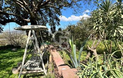 Doğanın Kalbinde Saklı Bir Cennet: Modern ve Masalsı Kiralık Ev