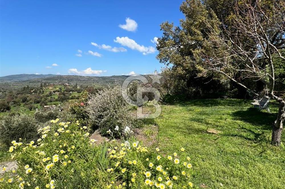 Doğanın Kalbinde Saklı Bir Cennet: Modern ve Masalsı Kiralık Ev