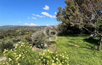 Doğanın Kalbinde Saklı Bir Cennet: Modern ve Masalsı Kiralık Ev