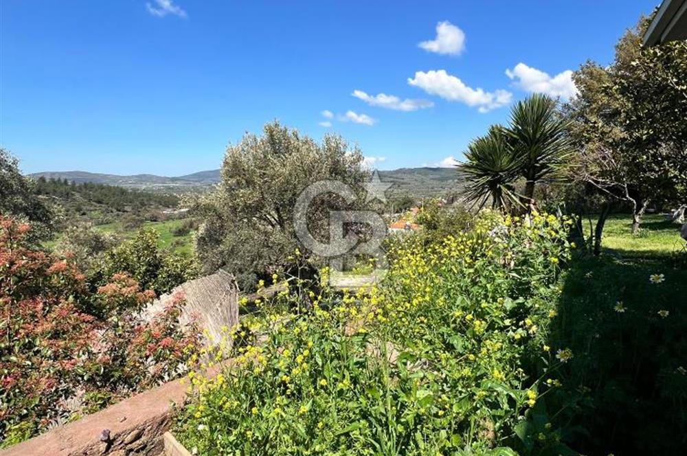 Doğanın Kalbinde Saklı Bir Cennet: Modern ve Masalsı Kiralık Ev