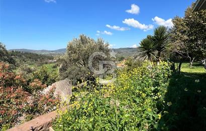 Doğanın Kalbinde Saklı Bir Cennet: Modern ve Masalsı Kiralık Ev