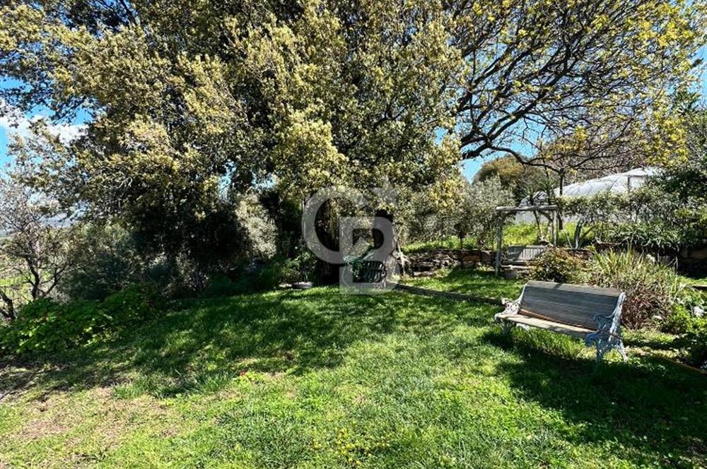 Doğanın Kalbinde Saklı Bir Cennet: Modern ve Masalsı Kiralık Ev