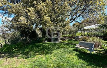 Doğanın Kalbinde Saklı Bir Cennet: Modern ve Masalsı Kiralık Ev