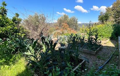 Doğanın Kalbinde Saklı Bir Cennet: Modern ve Masalsı Kiralık Ev