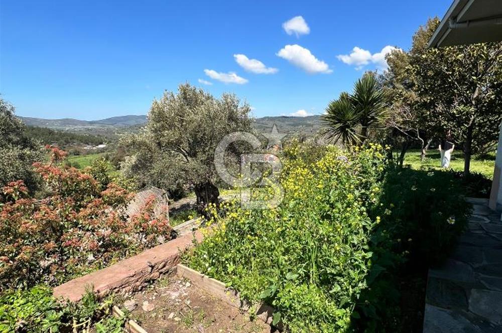 Doğanın Kalbinde Saklı Bir Cennet: Modern ve Masalsı Kiralık Ev