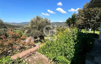 Doğanın Kalbinde Saklı Bir Cennet: Modern ve Masalsı Kiralık Ev