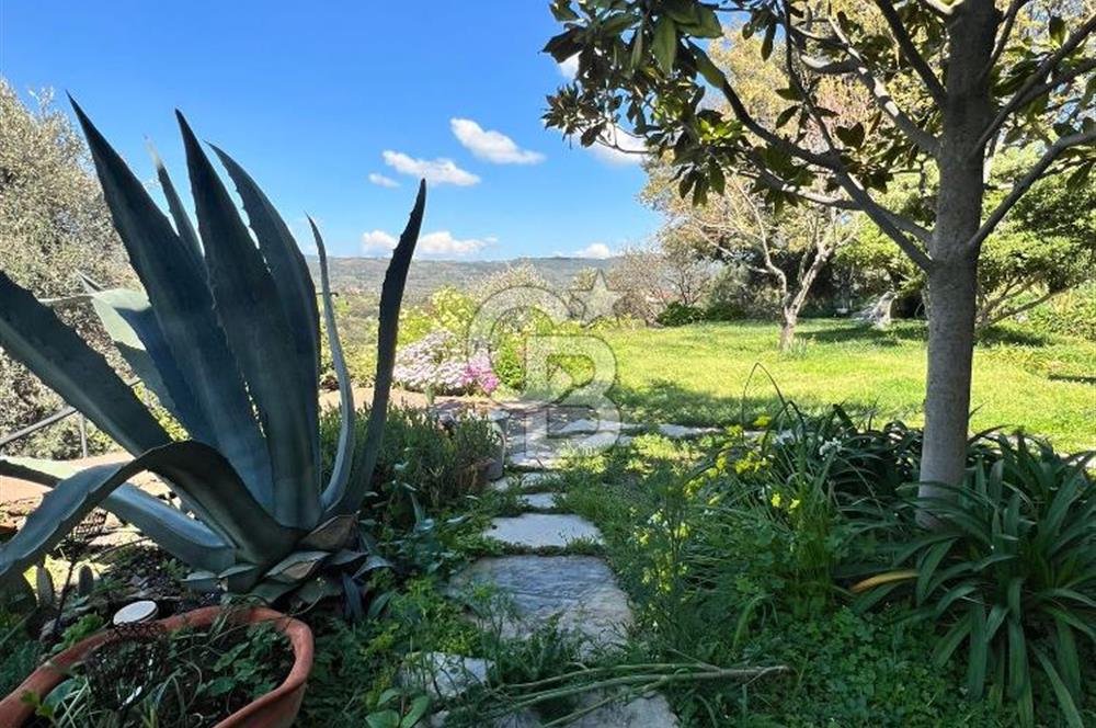 Doğanın Kalbinde Saklı Bir Cennet: Modern ve Masalsı Kiralık Ev