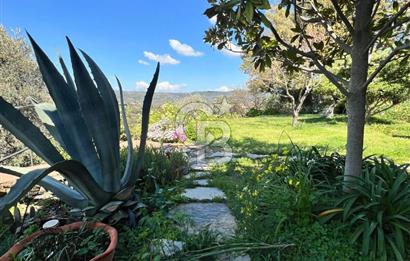 Doğanın Kalbinde Saklı Bir Cennet: Modern ve Masalsı Kiralık Ev