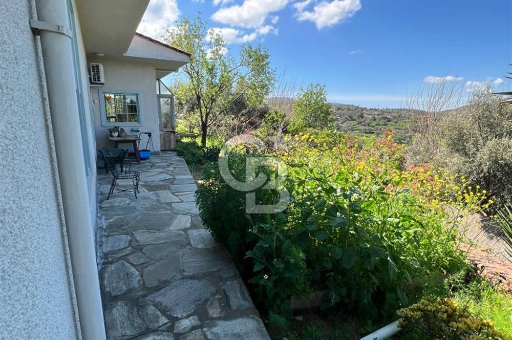 Doğanın Kalbinde Saklı Bir Cennet: Modern ve Masalsı Kiralık Ev