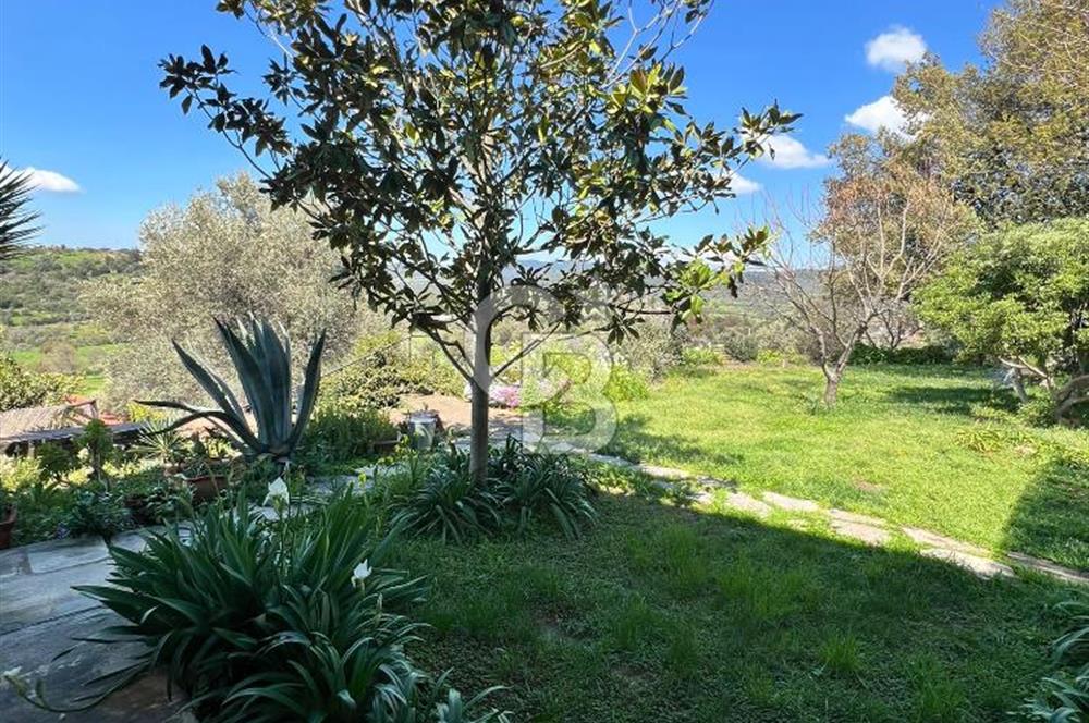 Doğanın Kalbinde Saklı Bir Cennet: Modern ve Masalsı Kiralık Ev