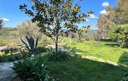 Doğanın Kalbinde Saklı Bir Cennet: Modern ve Masalsı Kiralık Ev