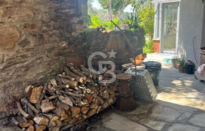 Doğanın Kalbinde Saklı Bir Cennet: Modern ve Masalsı Kiralık Ev