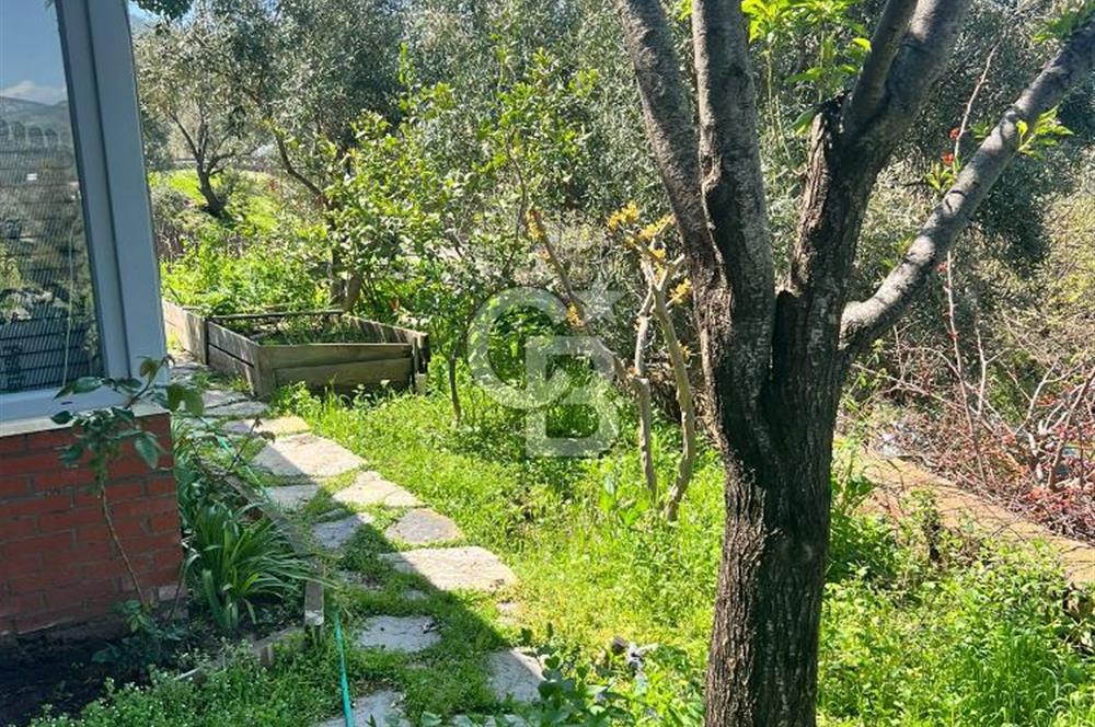 Doğanın Kalbinde Saklı Bir Cennet: Modern ve Masalsı Kiralık Ev