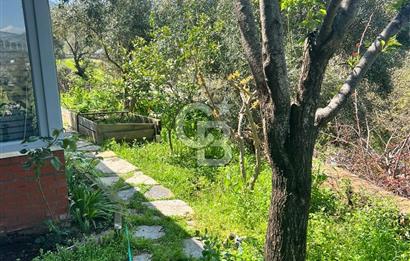 Doğanın Kalbinde Saklı Bir Cennet: Modern ve Masalsı Kiralık Ev