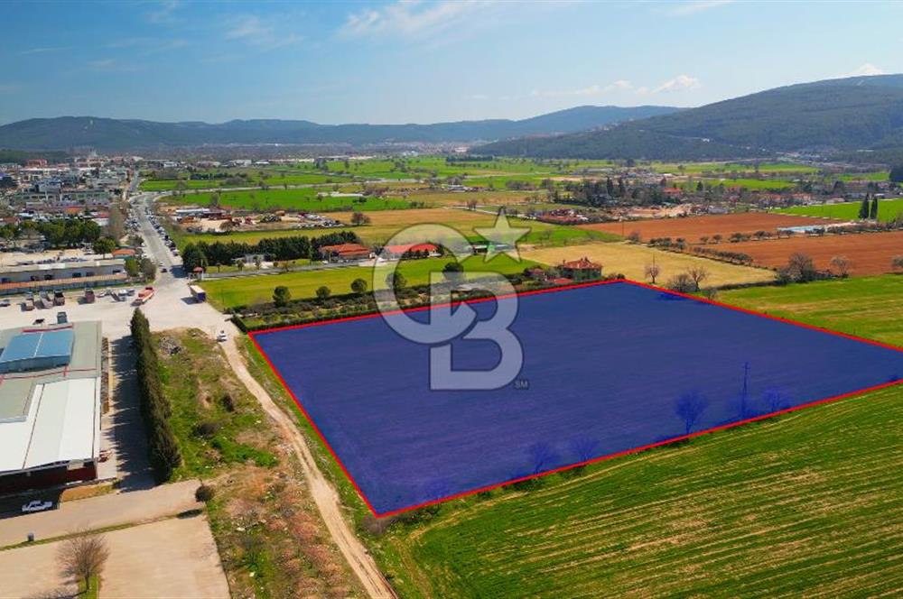 MUĞLA MENTEŞE MUSLİHİTTİN'DE 21 DÖNÜM YATIRIMLIK TARLA