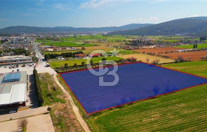 MUĞLA MENTEŞE MUSLİHİTTİN'DE 21 DÖNÜM YATIRIMLIK TARLA