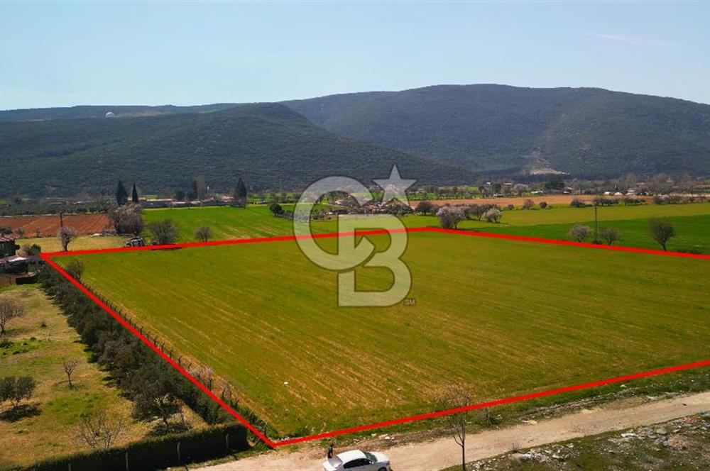 MUĞLA MENTEŞE MUSLİHİTTİN'DE 21 DÖNÜM YATIRIMLIK TARLA